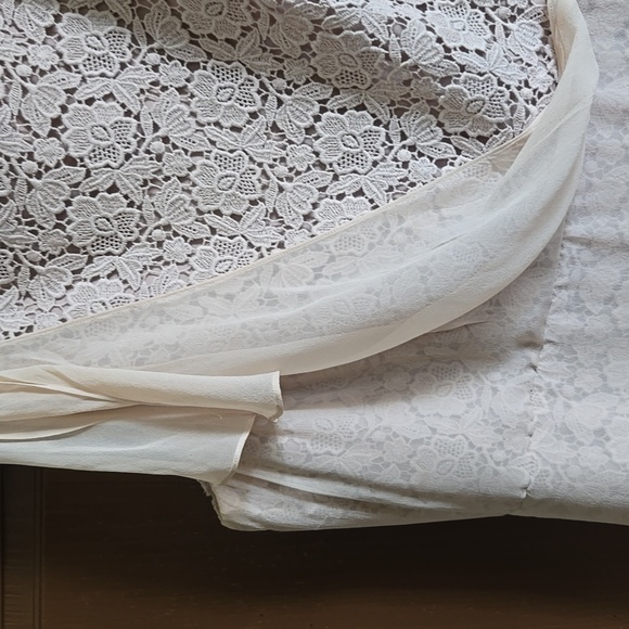 Ann Taylor-Beige lace sheath dress with chiffon overlay on right side Sz 16P - Picture 5 of 8